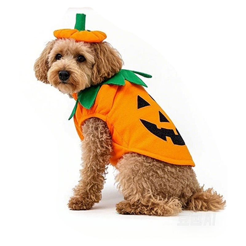 Halloween Pumpkin Dog Costume Pet Outfit with Hat